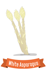 ホワイトアスパラガス