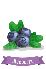 ブルーベリー
