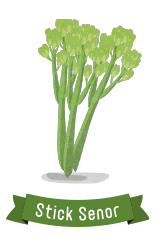 スティックセニョール