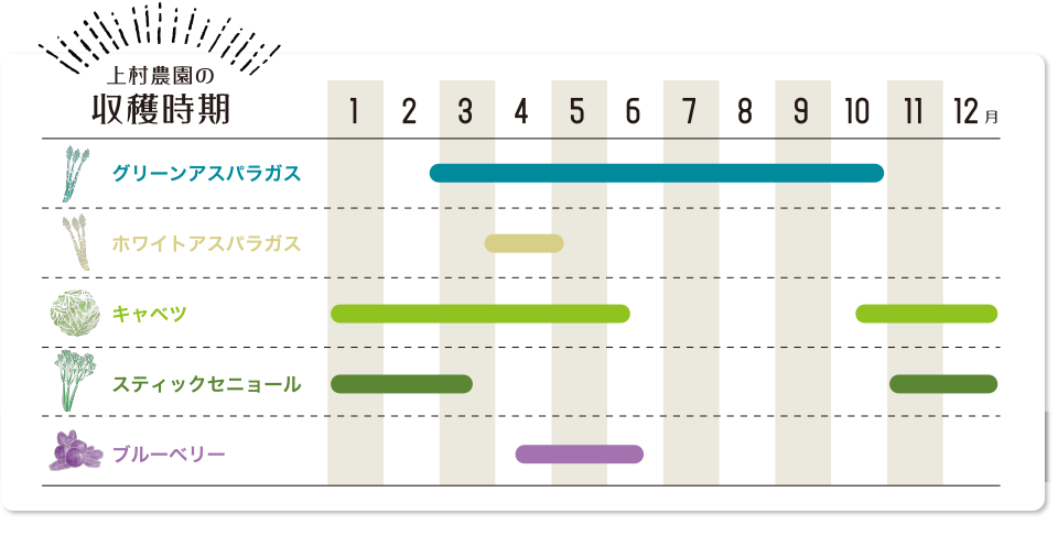 収穫時期表