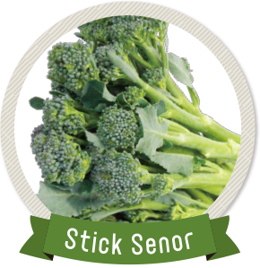 スティックセニョール